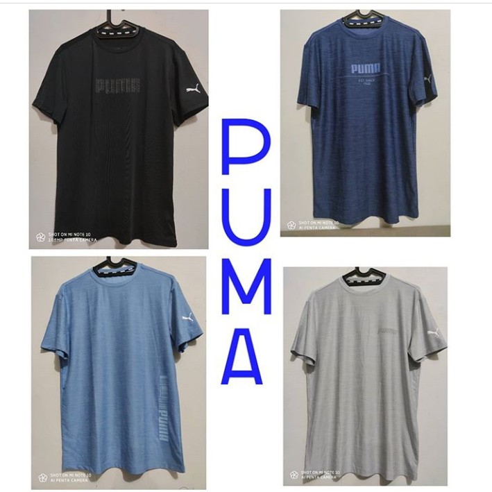 Puma