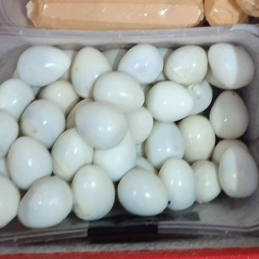 Telur Puyuh 3 Butir 