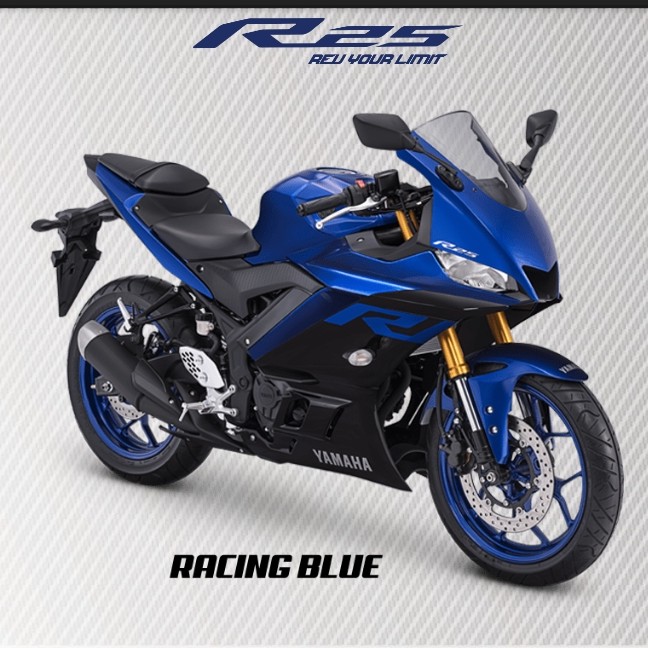 R 25 3