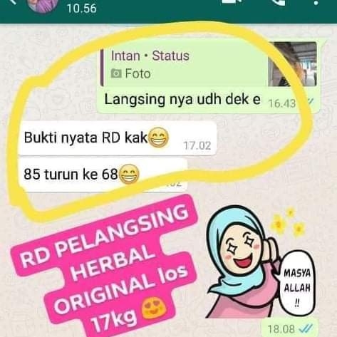 RD Pelangsing Herbal 4
