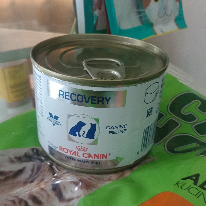 RECOVERY ROYAL CANIN