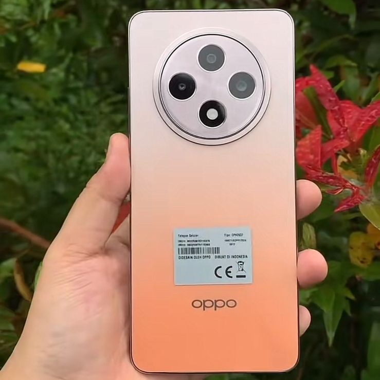 RENO 12F RAM 8 ROM 256 4