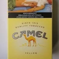 ROKOK CAMEL YELLOW