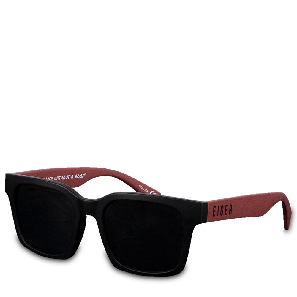 ROLLICK SUNGLASSES 2