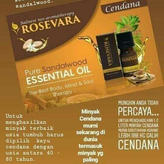 ROSEVARA CENDANA  2