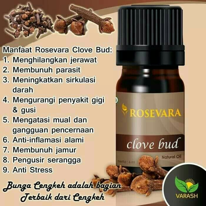 ROSEVARA CLOVE BUD 