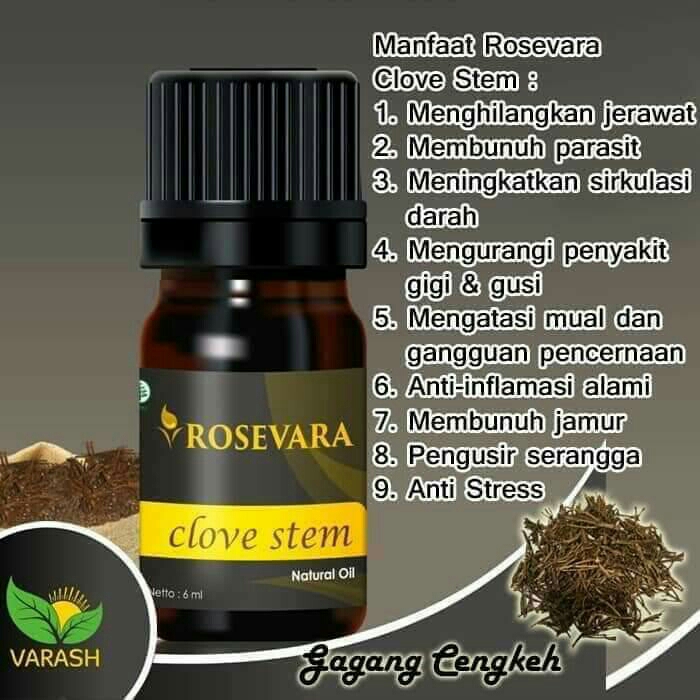 ROSEVARA CLOVE STEM 
