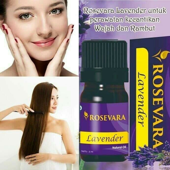 ROSEVARA LAVENDER 