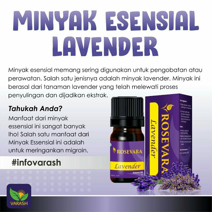 ROSEVARA LAVENDER  2