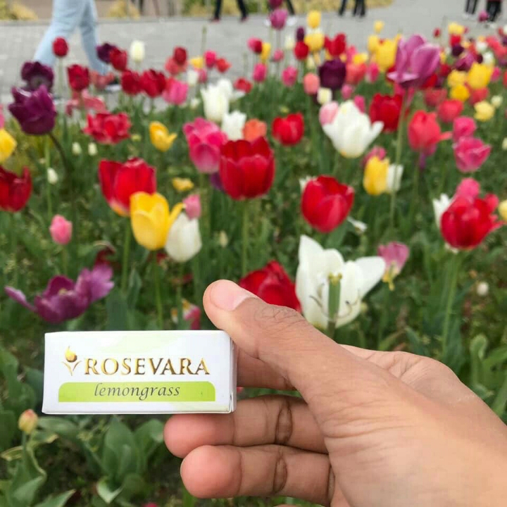 ROSEVARA LEMONGRASS  2