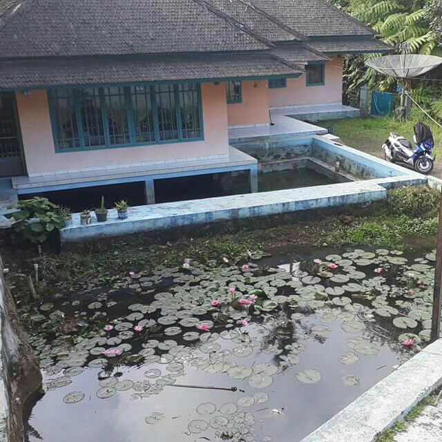 RUMAH Dijual