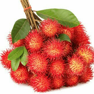 Rambutan