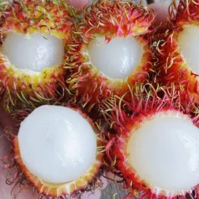Rambutan Binjay 2