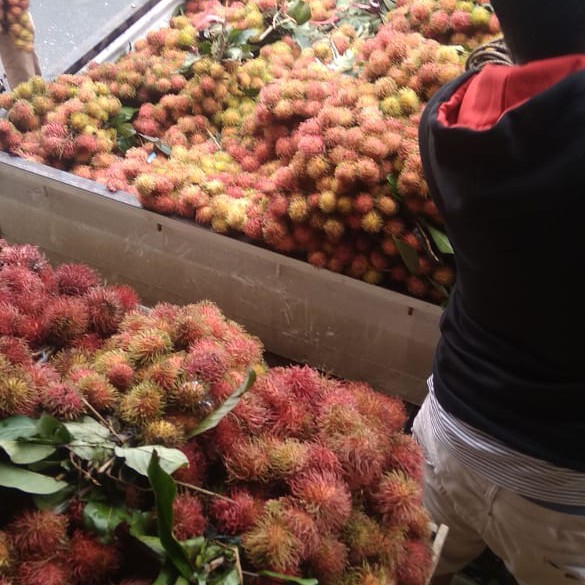 Rambutan Binjay 3