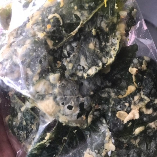 Rempeyek Bayam Besar