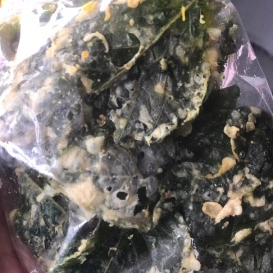 Rempeyek Bayam Kecil