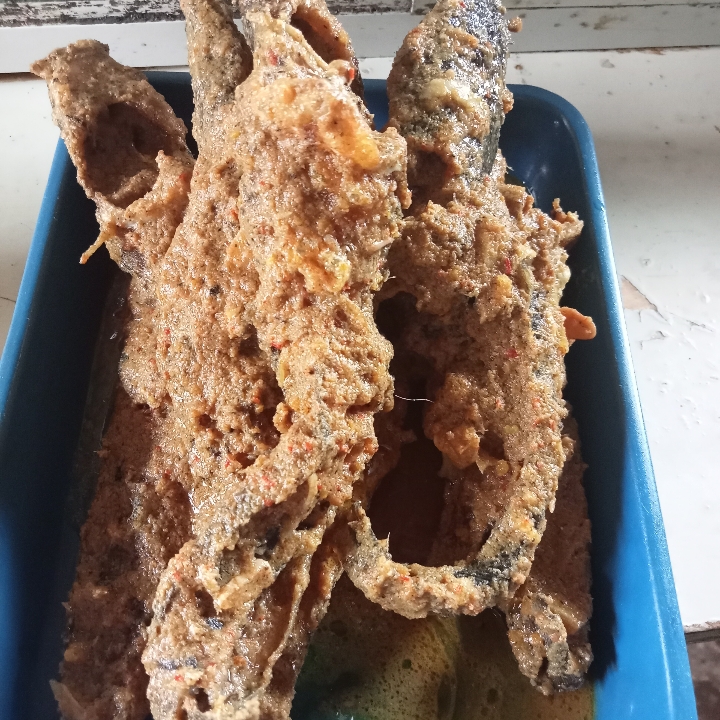 Rendang Lele