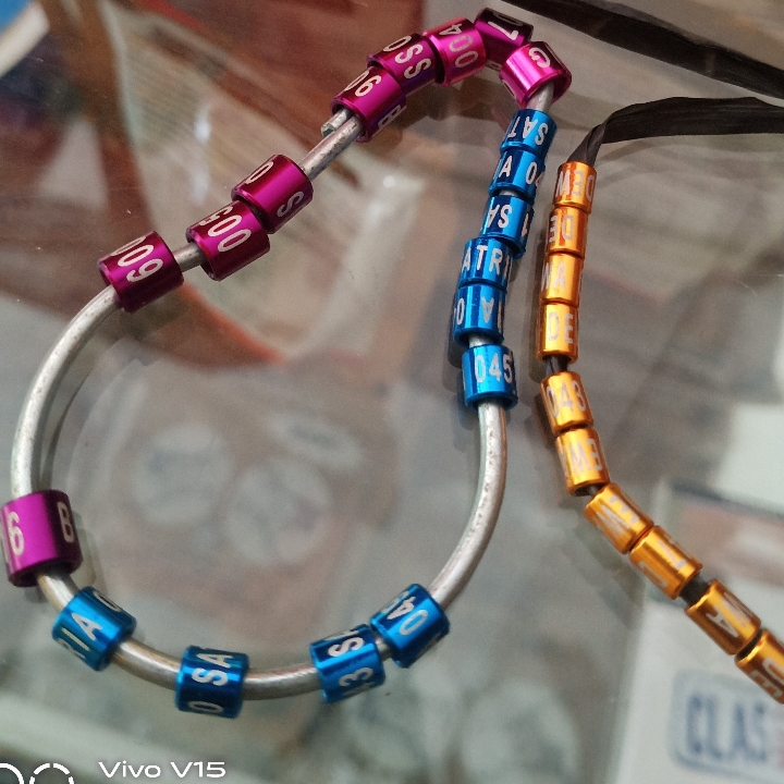 Ring Burung