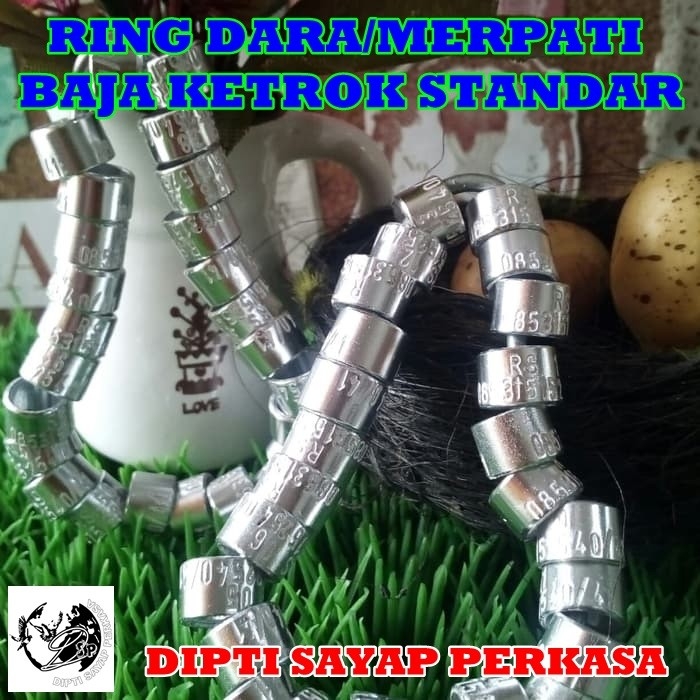 Ring Burung Dara Baja Ketrok Standar Custom Pakai Nama Sendiri 