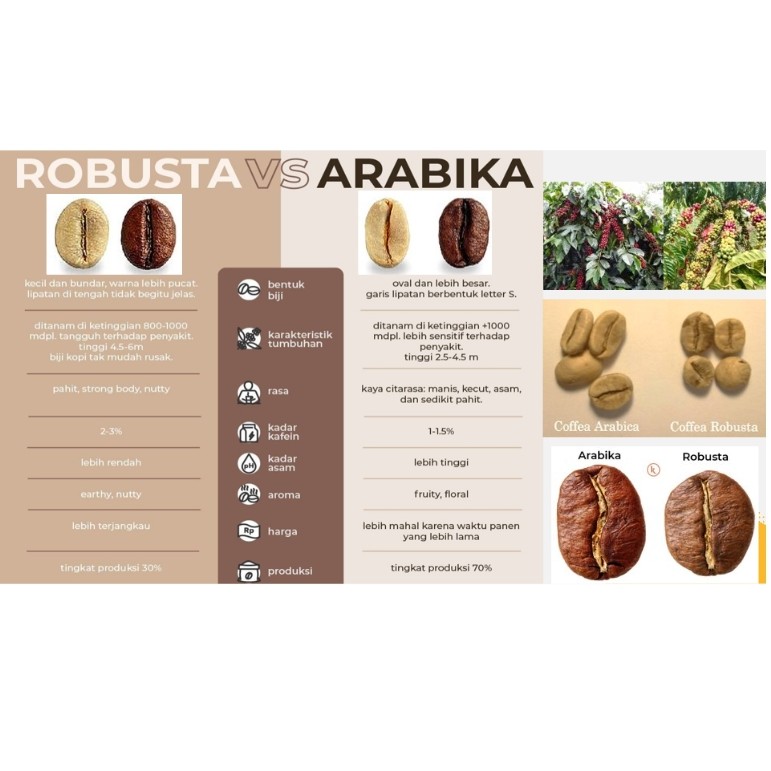 Robusta Vs Arabika