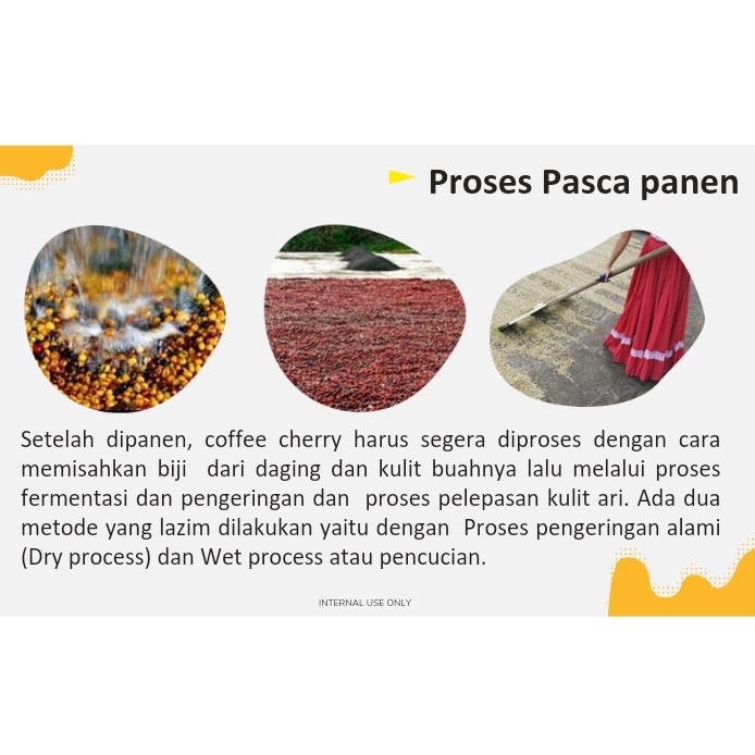 Robusta Vs Arabika 2