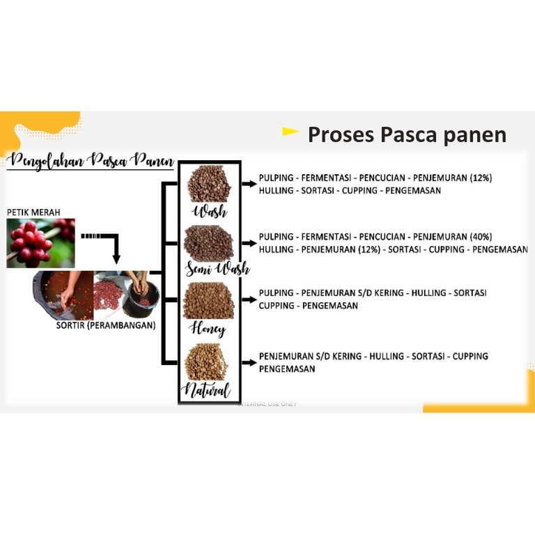Robusta Vs Arabika 3