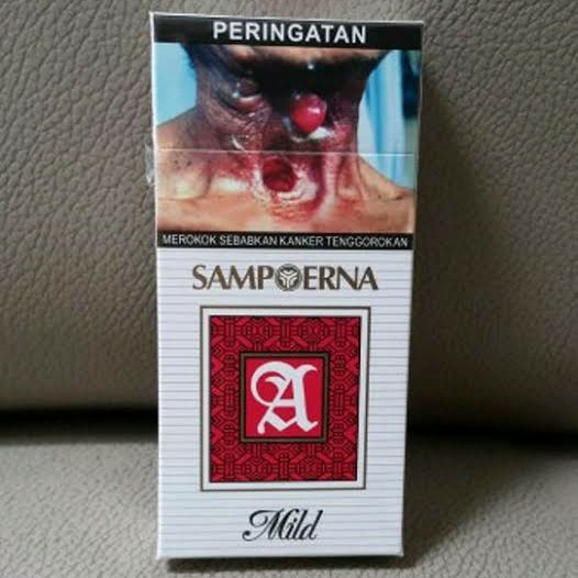 Rokok Sampoerna Isi 12