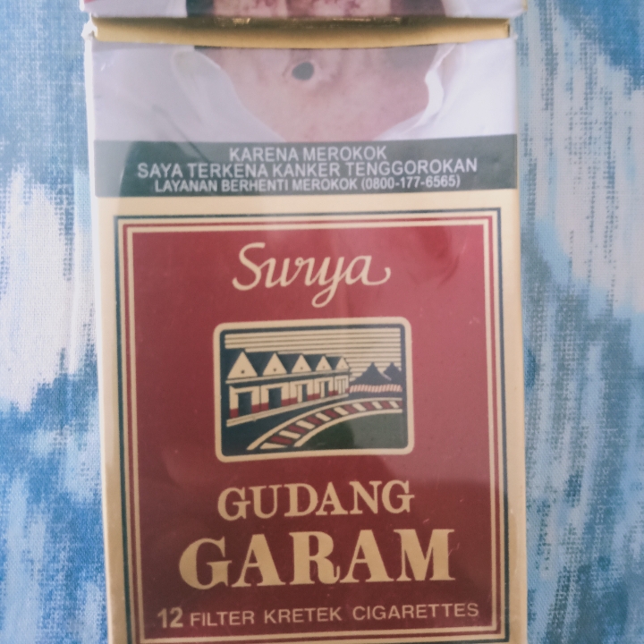 Rokok Surya 12