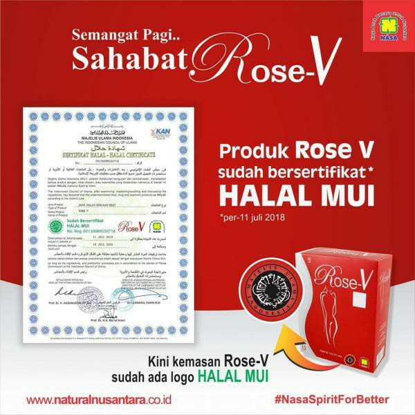 Rose V 