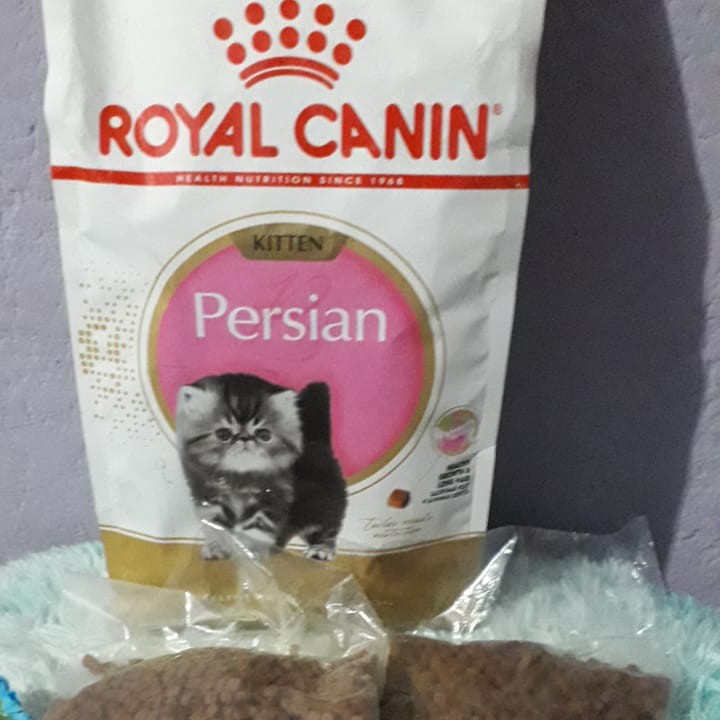 Royal Canin Kitten Persian