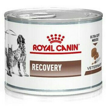 Royal Canin Recovery