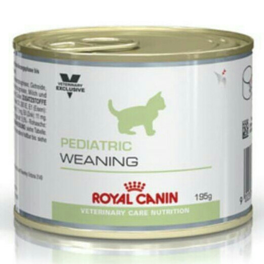 Royal Caning Weanin