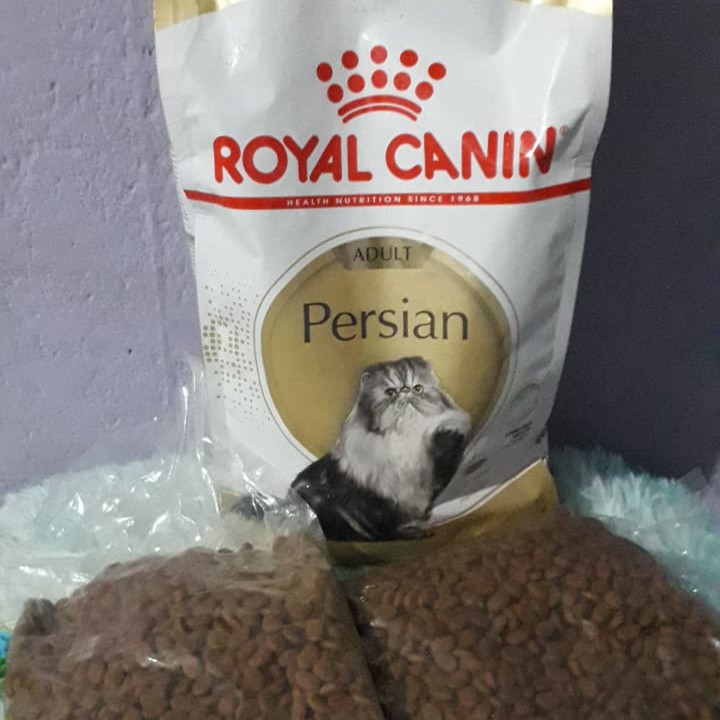 Royan Canin Adult Persian