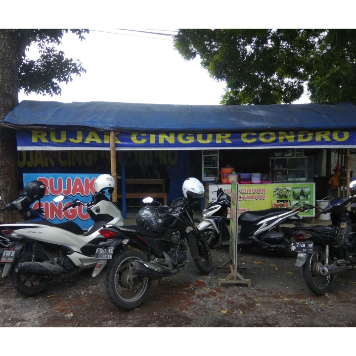 Rujak Cingur - Condro  4