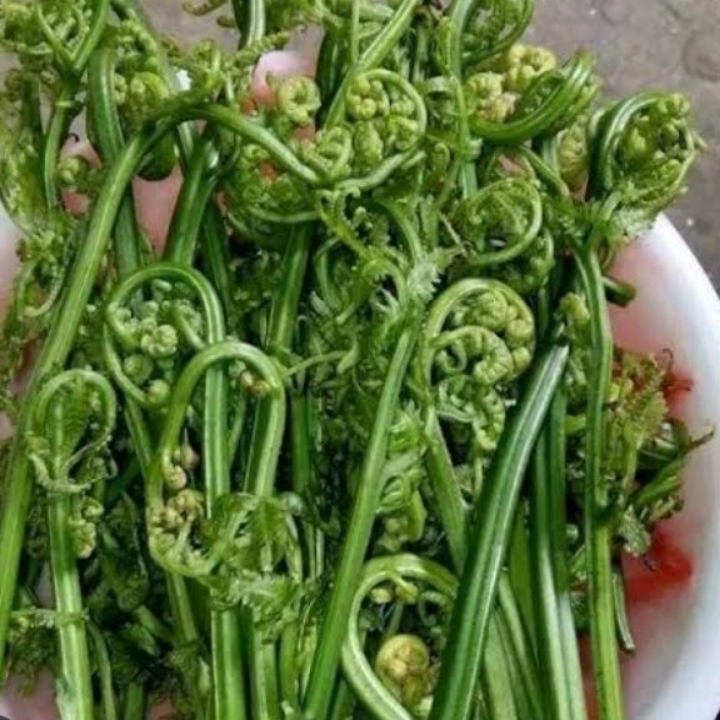 SAMBAL PAKIS UDANG EBI 2