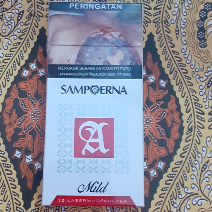 SAMPOERNA MILD 12