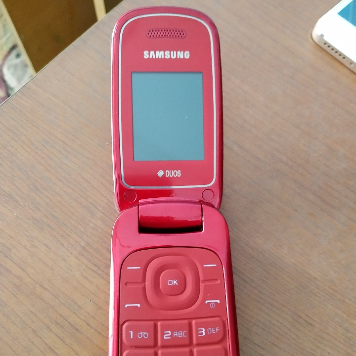 SAMSUNG LIPAT GT-E1272 Super Copy 2