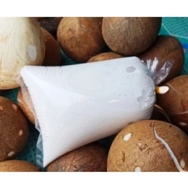 SANTAN KELAPA 100 ml