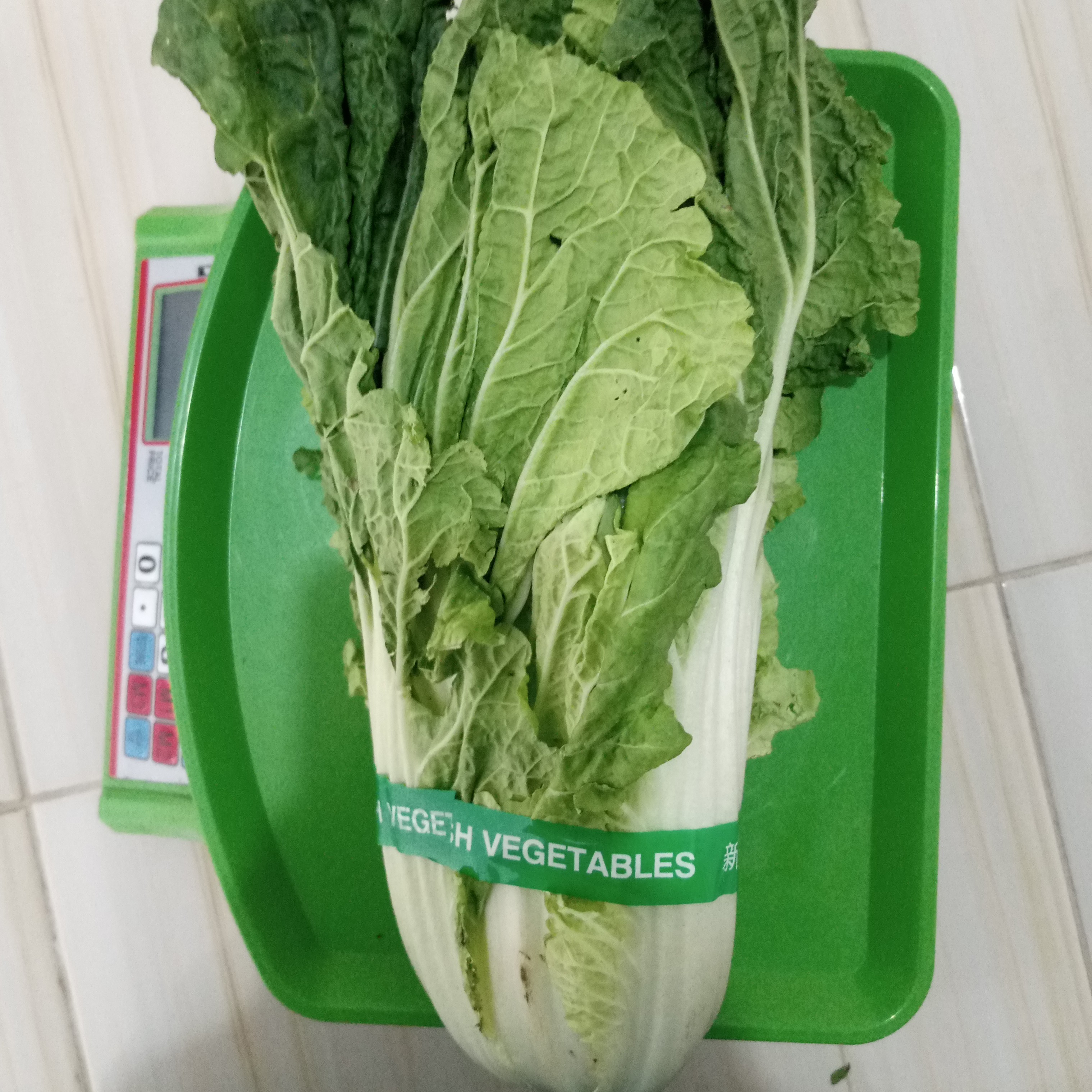 SAWI PUTIH 500 Gram 2