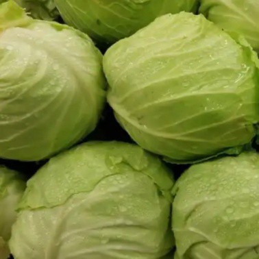 SAYUR KOL