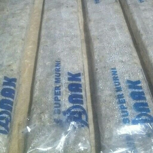 TEMPE PANJANG LONJORAN