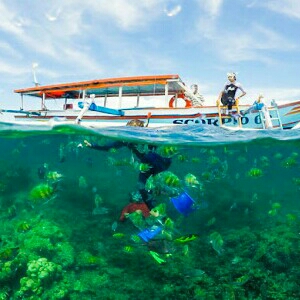 SPEED BOAT DAN GLASS BOTTOM BOAT 2