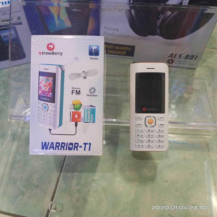 STRAWBERRY WARIOR R1