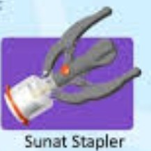 SUNAT STAPLER