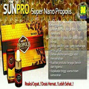 SUNPRO PROPOLIS NASA