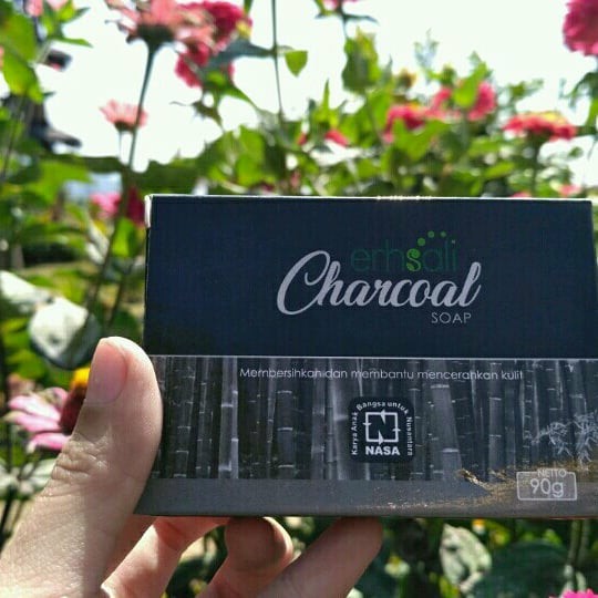 Sahun charcoal NASA
