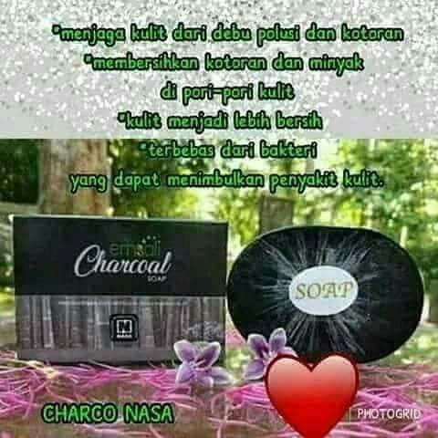 Sahun charcoal NASA 3
