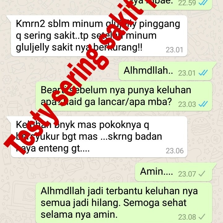 Sakit Pinggang