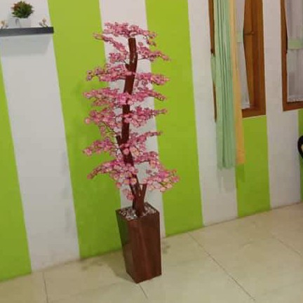 Sakura Bonsay