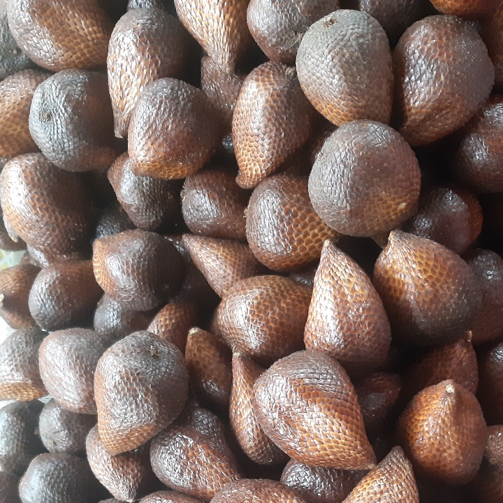 Salak